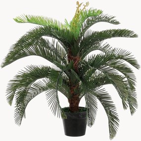 Exteriérová rastlinná dekorácia Cycas, V 100 cm