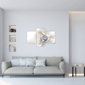 Obraz - Mačka s modrými očami (90x60 cm)