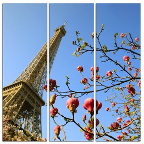 Obraz na plátne - Eiffelova veža v jarnom období - štvorec 334B (105x105 cm)