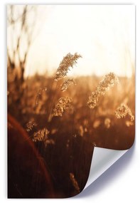 Gario Plagát Zrno na slnku Farba rámu: Bez rámu, Veľkosť: 20 x 30 cm