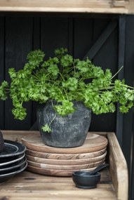 Ib Laursen Drevený tanier Acacia 25 cm