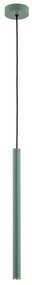 Argon 8333 - LED Luster na lanku RIO LED/4,2W/230V 3000K zelená