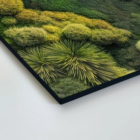 DUBLEZ | Machový obraz - Zelená oáza (imitácia)