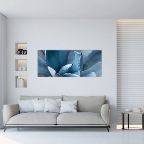 Obraz - Agáve (120x50 cm)