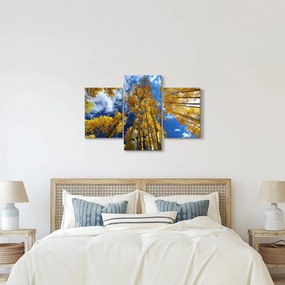 Obraz - Aspen (90x60 cm)