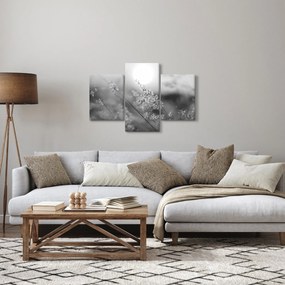 Obraz - Jesenná lúka (90x60 cm)