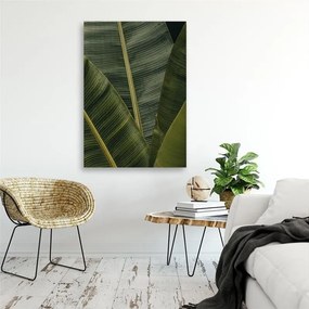 Gario Obraz na plátne Tropické banánové listy Rozmery: 40 x 60 cm