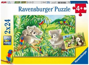 Ravensburger Koaly a pandy 2 x 24 kusov