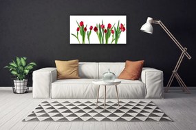 Obraz Canvas Tulipány kvety rastlina 120x60 cm