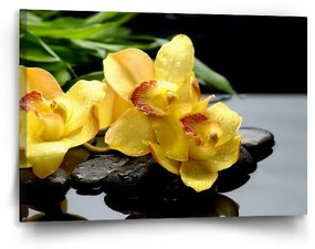 Sablio Obraz Žlté Orchidey - 90x60 cm