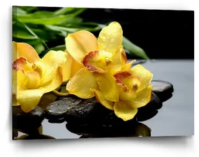 Sablio Obraz Žlté Orchidey - 90x60 cm