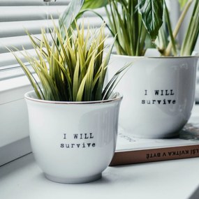 Bella Rose Porcelánový obal na kvetináč I will survive 10 cm