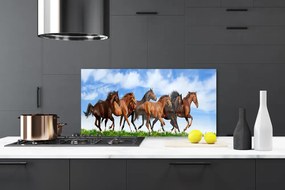 Sklenený obklad Do kuchyne Cválajúci kone na pastvine 140x70 cm