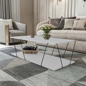 Hanah Home -  Moderný konferenčný stolík CANAZ 120 cm, MDF, biely, čierny