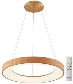 Azzardo AZ5014 - LED Stmievateľný luster na lanku SANTANA LED/80W/230V hnedá + DO