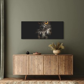 Obraz sovy (120x50 cm)