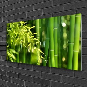 Skleneny obraz Bambus listy rastlina 125x50 cm