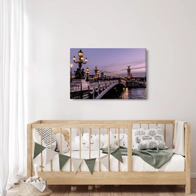 Obraz - Most Alexandra III. v Paríži (90x60 cm)