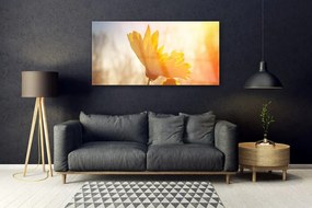 Obraz na akrylátovom skle Slnečnica 120x60 cm
