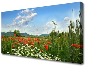 Obraz Canvas Lúka kvety príroda 125x50 cm