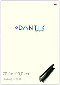DANTIK rám na obraz 70x100 | ALU Šedá leská (Plexi Čiré)
