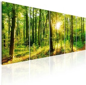 Obraz - Magic Forest Veľkosť: 200x80, Verzia: Premium Print