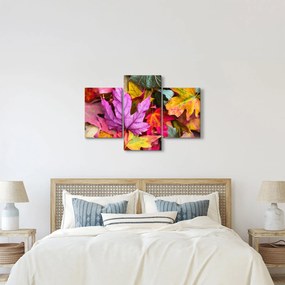 Obraz - jesenné listy (90x60 cm)
