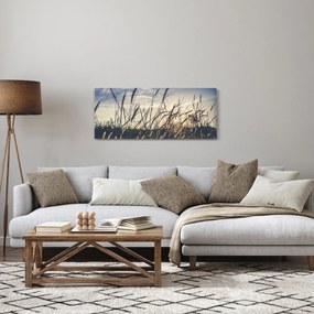 Obraz lúčnych kvetov (120x50 cm)