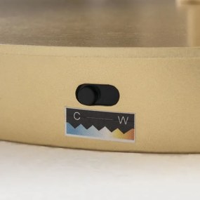 Orion - stmievateľná LED stojacia lampa KOLK LED/40W/230V 2700/4000K zlatá