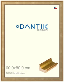 DANTIK rám na obraz 60x80 | TOOTH malá zlatá (Plexi Čiré)