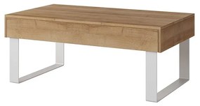 Konferenčný stolík Bralani BR12, Farby: biela / biely lesk
