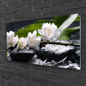 Obraz na skle Kvet kamene 140x70 cm