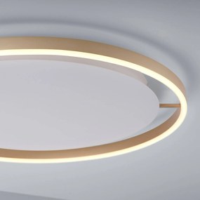 Stropné LED svetlo Ritus, Ø 58,5 cm, matná mosadz