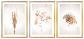 Gario Sada plagátov Dry nature - 3 dielna Farba rámu: Bez rámu, Rozmery: 99 x 45 cm