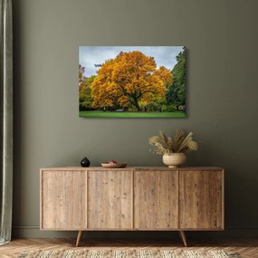 Obraz stromu (90x60 cm)