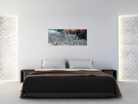 Obraz - Zamrznutá lúka (120x50 cm)
