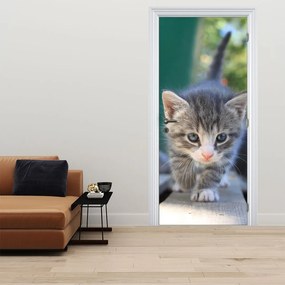 Fototapeta na dvere - Mačiatko (95x205cm)