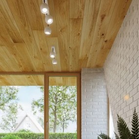 Sollux SL.0438 - Stropné bodové svietidlo OCULARE 2xGU10/10W/230V