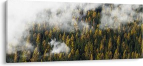 Obraz lesa v mrakoch (120x50 cm)