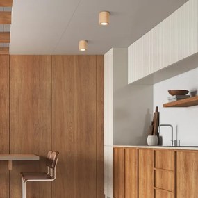 Bodové svietidlo EVE 1xGU10/10W/230V buk