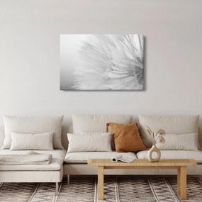 Obraz - Púpava (90x60 cm)