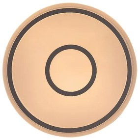 Rabalux 71117 - LED stropné svietidlo TAYTUM LED/25W/230V 3000K