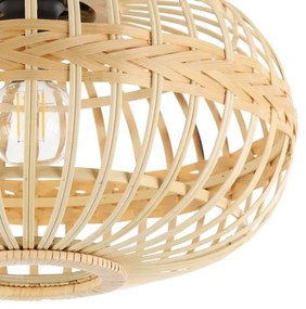 Eglo 43723 - Stropné svietidlo AMSFIELD 1xE27/40W/230V