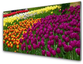 Obraz na skle Tulipány kvety 120x60 cm