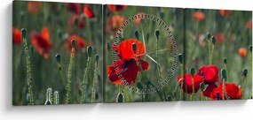 Obraz - Lúka s vlčími makmi (s hodinami) (90x30 cm)