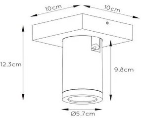 Lucide 09930/05/31 - LED Stmievateľné bodové svietidlo TAYLOR 1xGU10/5W/230V IP44