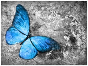 Artgeist Fototapeta - Blue butterfly Veľkosť: 200x154, Verzia: Standard
