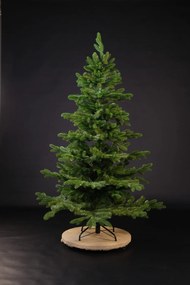 Smrek Alpský 3D- 170cm