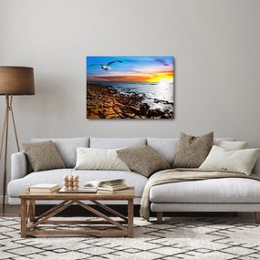 Obraz - Čajka letiaca nad pobrežím (70x50 cm)