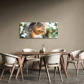 Obraz veveričky (120x50 cm)